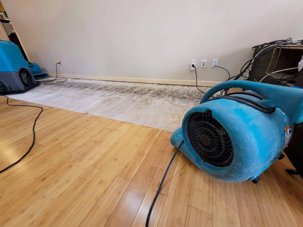 Professional Water Removal technician working in Boxford, MA